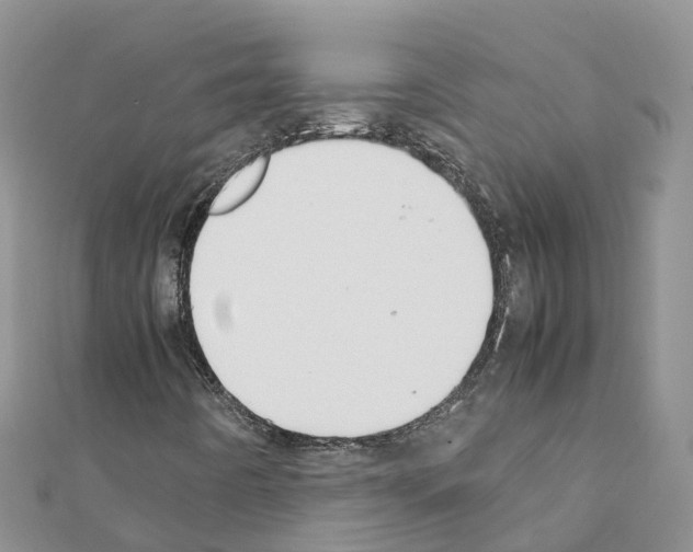 X0000111251442200908131157