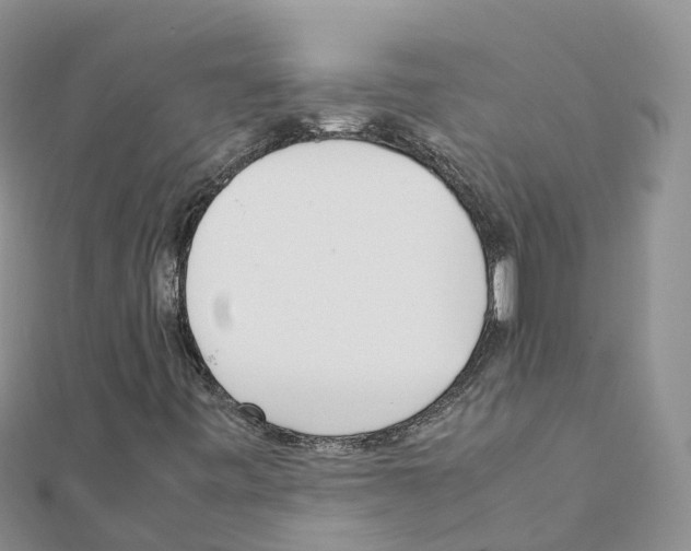 X0000111251443200908131157