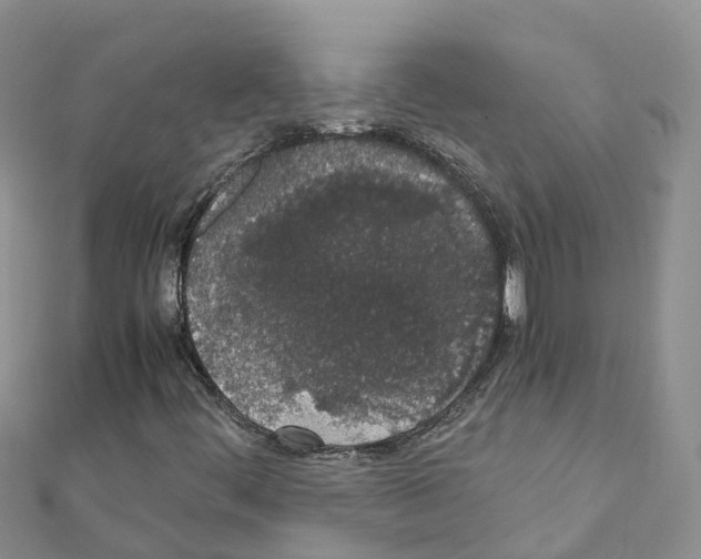 X0000111251444200908131157