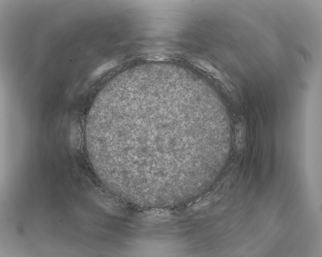 X0000111251446200908131157