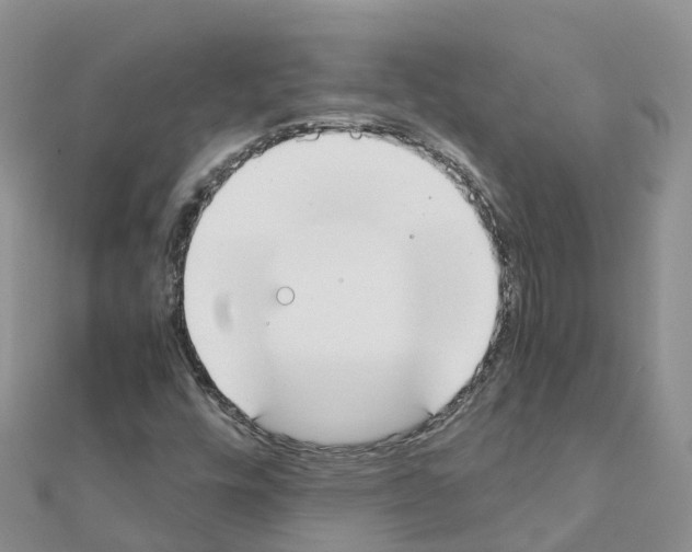 X0000111251448200908131157