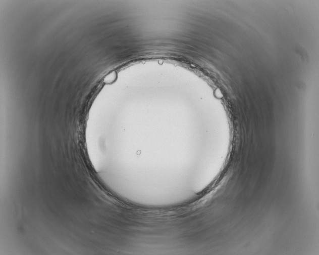 X0000111251449200908131157