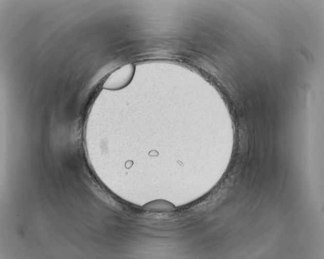 X0000111251450200908131157