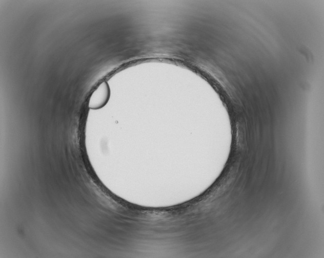 X0000111251452200908131157