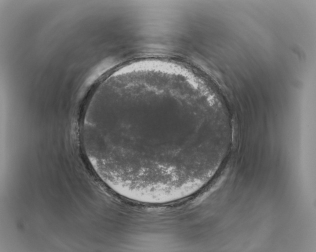 X0000111251453200908131157