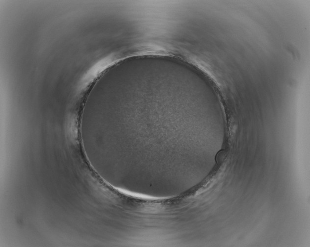 X0000111251455200908131157