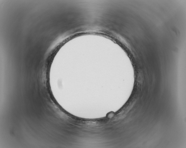 X0000111251456200908131157