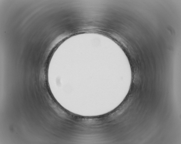 X0000111251458200908131157