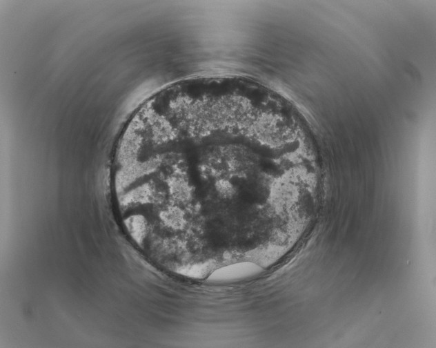 X0000111251459200908131157