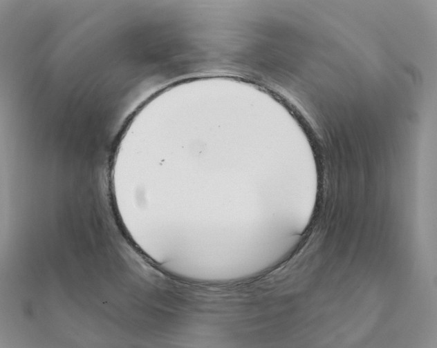 X0000111251460200908131157