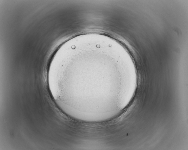 X0000111251461200908131157