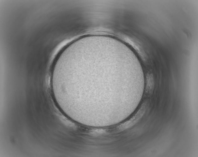 X0000111251462200908131157