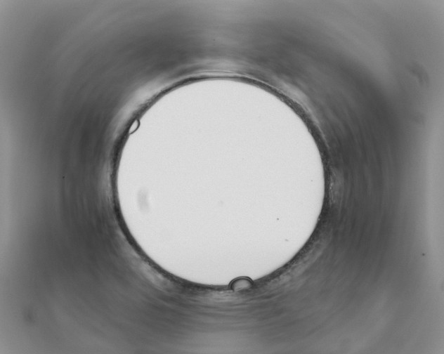 X0000111251464200908131157