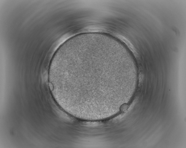 X0000111251465200908131157