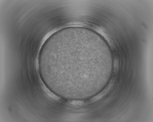 X0000111251466200908131157