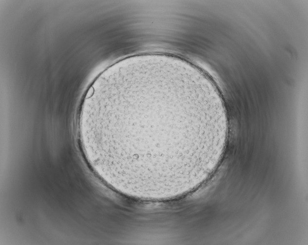 X0000111251467200908131157