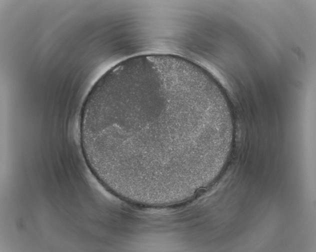 X0000111251468200908131157