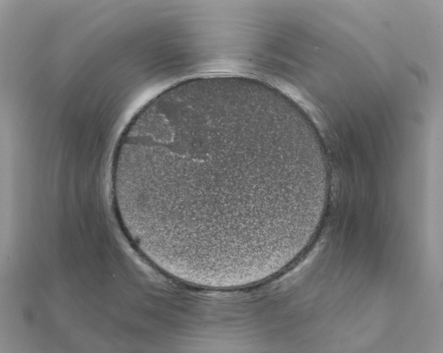 X0000111251469200908131157