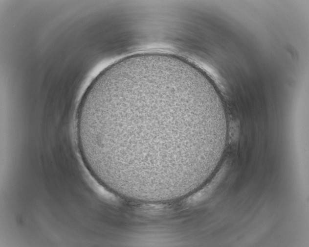 X0000111251470200908131157