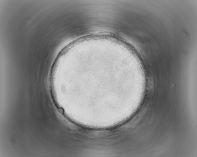 X0000111251471200908131157