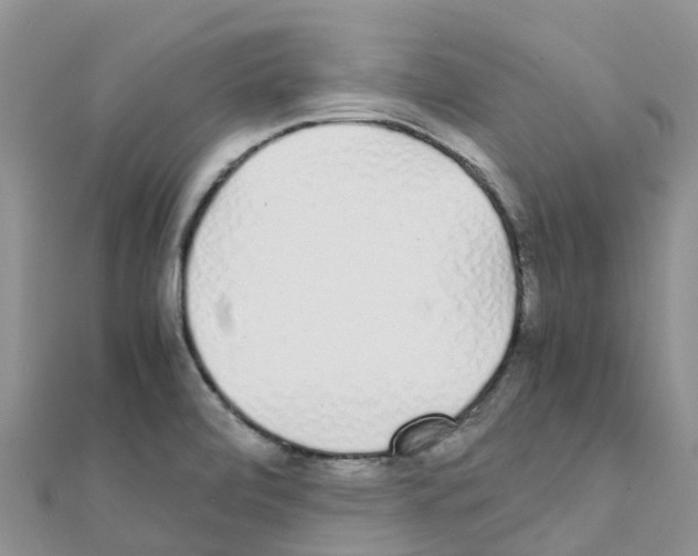 X0000111251472200908131157