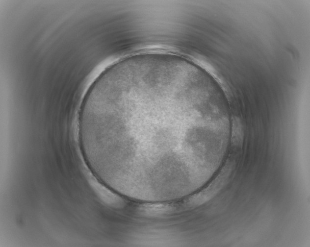 X0000111251474200908131157