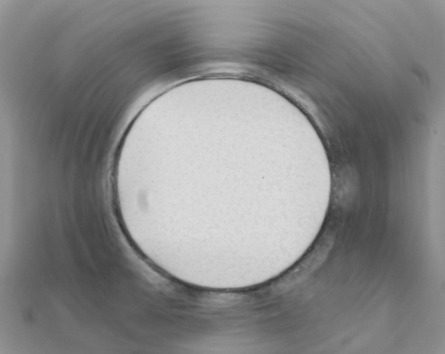 X0000111251475200908131157