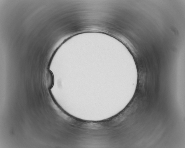 X0000111251476200908131157