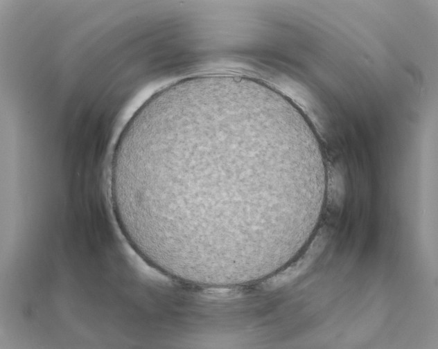 X0000111251478200908131157