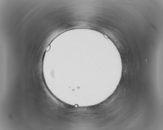 X0000111251479200908131157