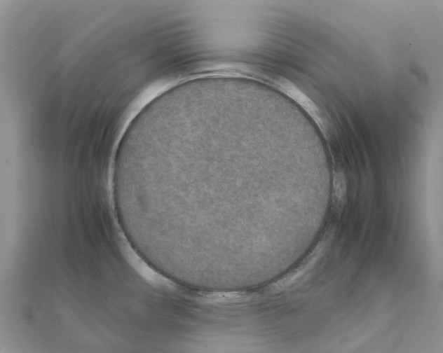 X0000111251482200908131156