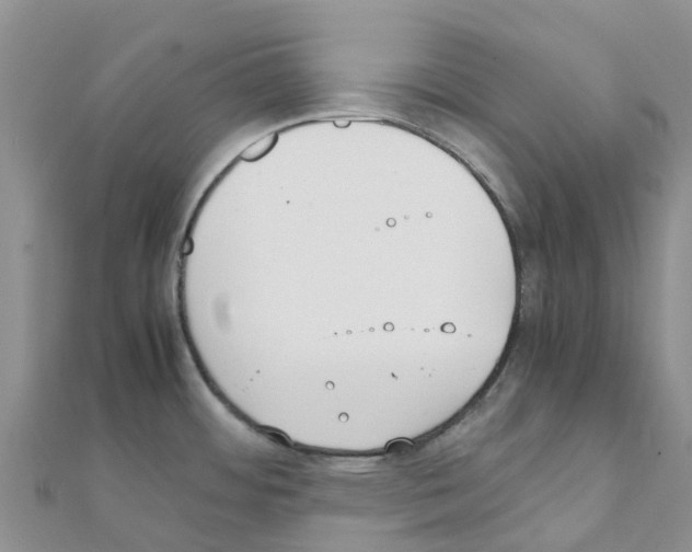 X0000111251484200908131156