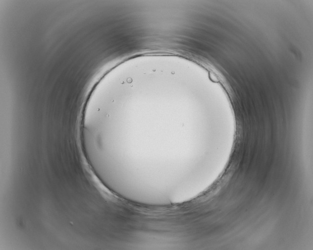 X0000111251485200908131156