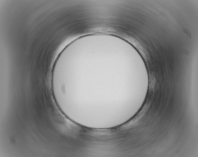 X0000111251486200908131156