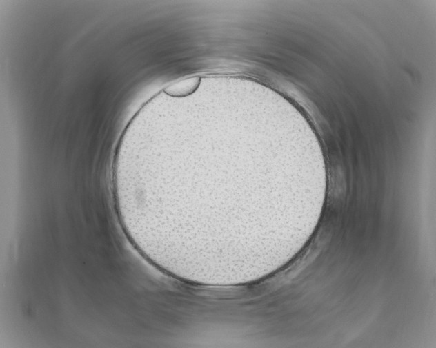 X0000111251487200908131156