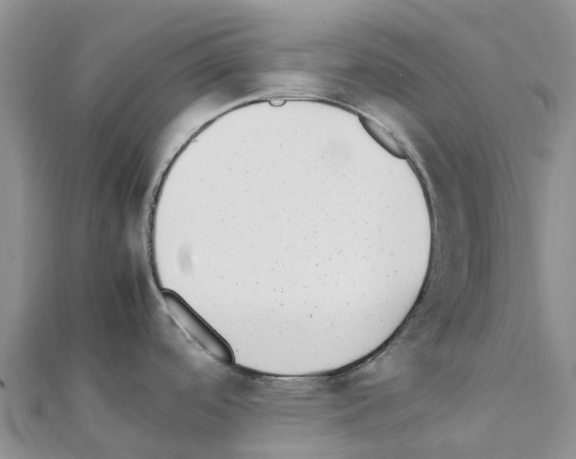 X0000111251488200908131156