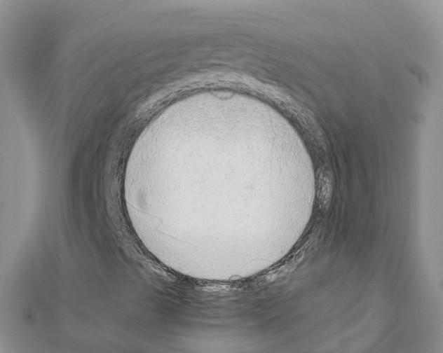 X0000111251489200908131155