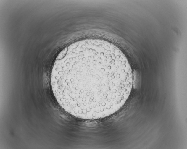 X0000111251491200908131155