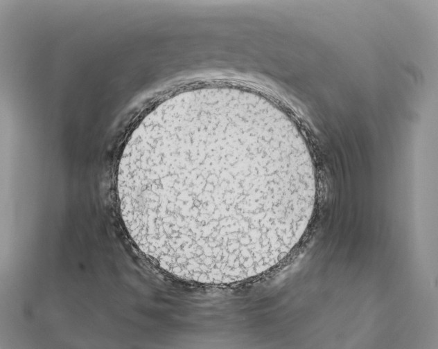 X0000111251494200908131156