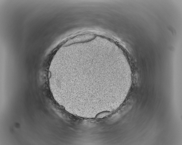 X0000111251496200908131156