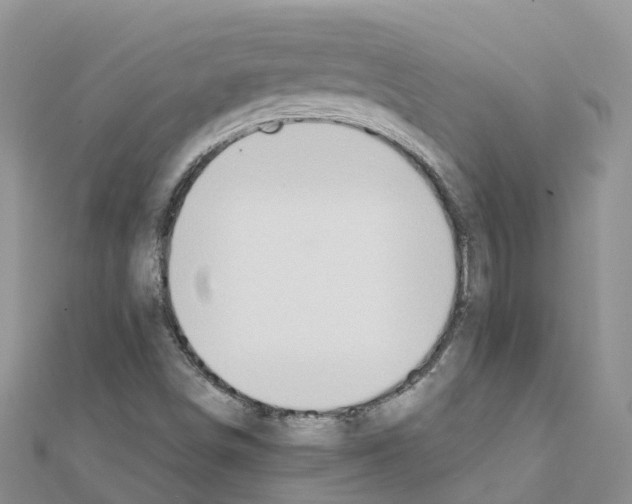 X0000111251498200908131156