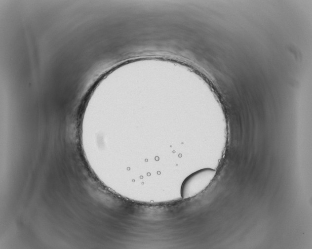 X0000111251501200908131156