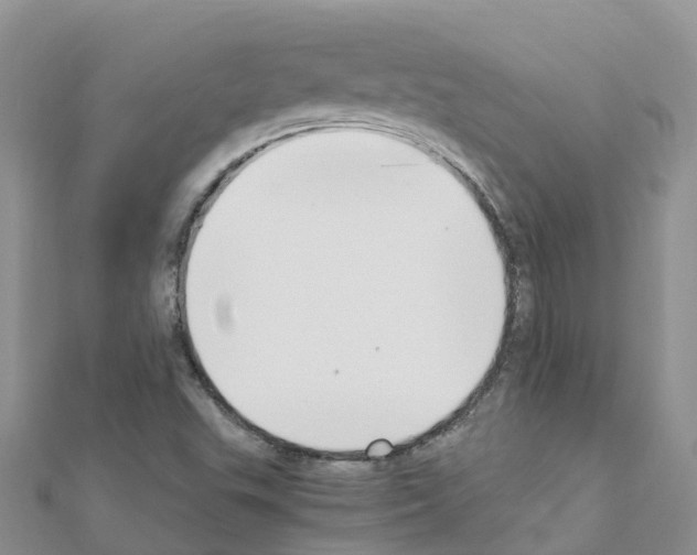 X0000111251503200908131156