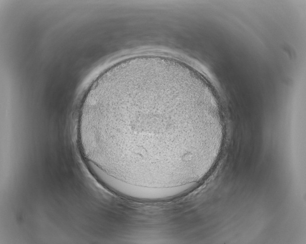 X0000111251504200908131156