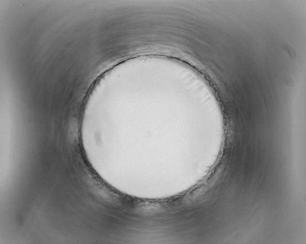 X0000111251505200908131156