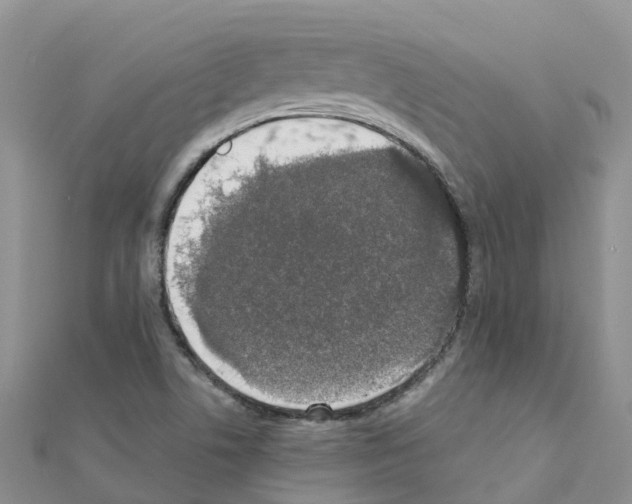 X0000111251506200908131156