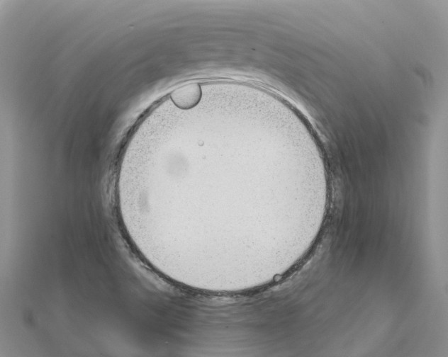 X0000111251507200908131156