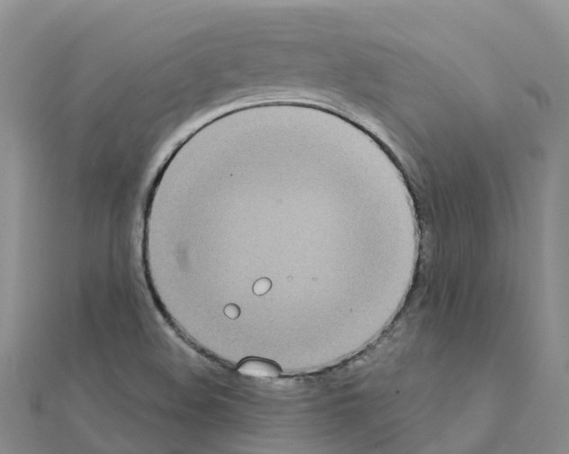 X0000111251508200908131156