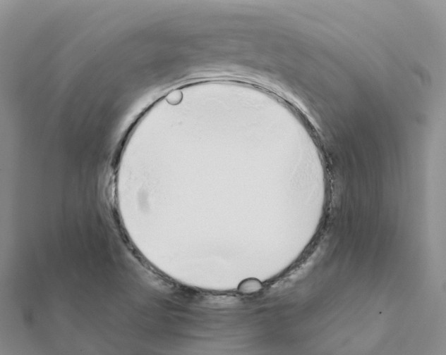 X0000111251509200908131156