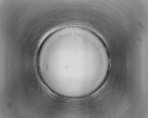 X0000111251510200908131156